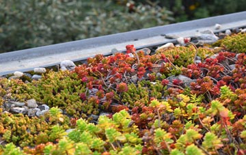 the cost of Gillarona green roof installation