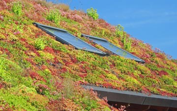 Gillarona living roof systems