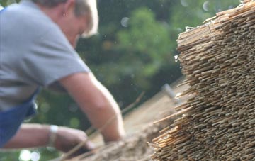 professional Gillarona thatchers