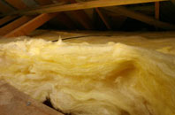 Gillarona pitch roof insulation